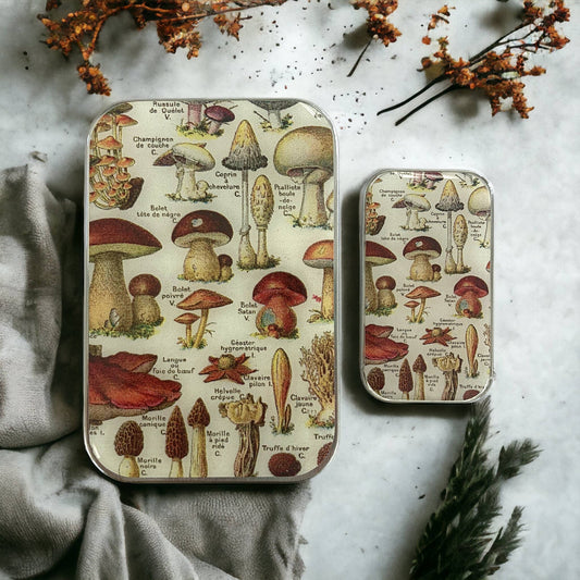 MUSHROOM NIONS STORAGE TIN