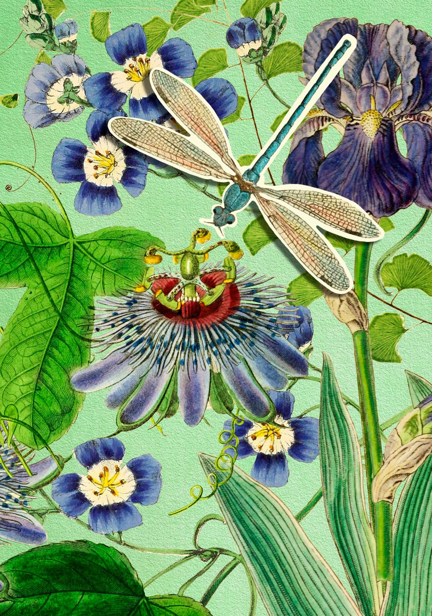 POP UP GREETING CARD DRAGONFLY GARDEN