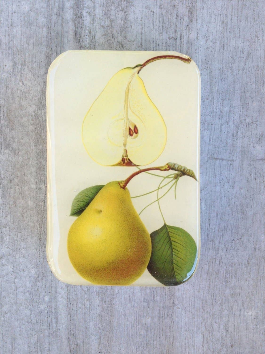 BOTANICAL PEAR NOTIONS TIN - LARGE