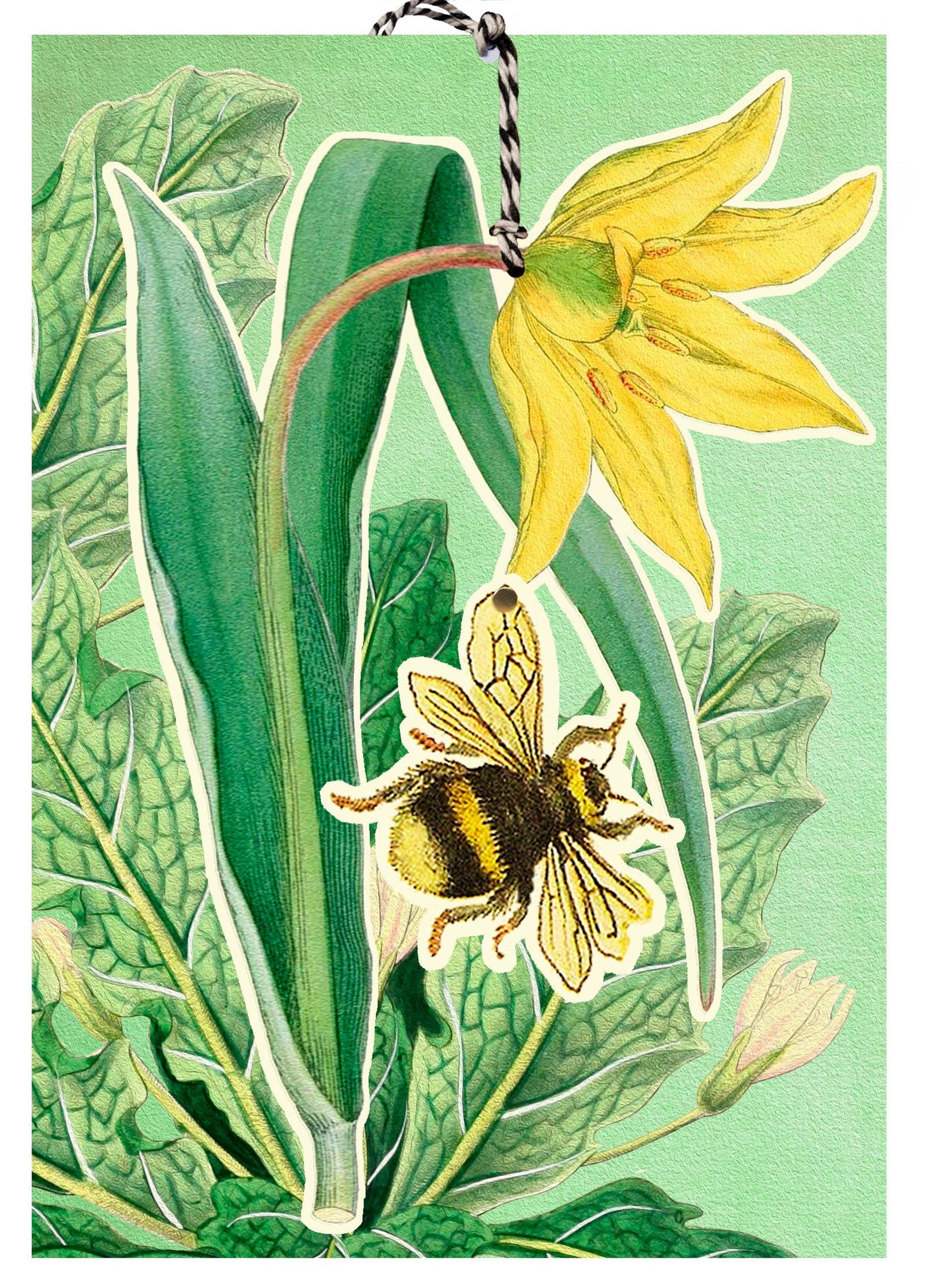 LARGE FANDANGLE GREETING CARD - BEE