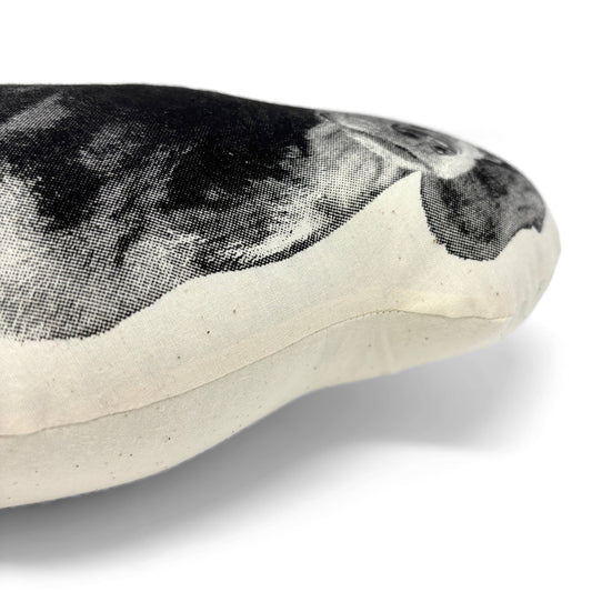 DACHSHUND PILLOW
