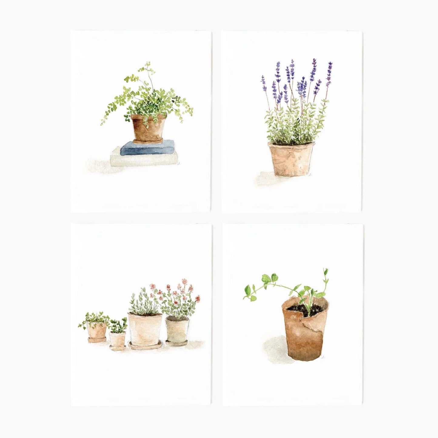 POTTED PLANTS ASSORTED NOTECARDS - SET OF 8