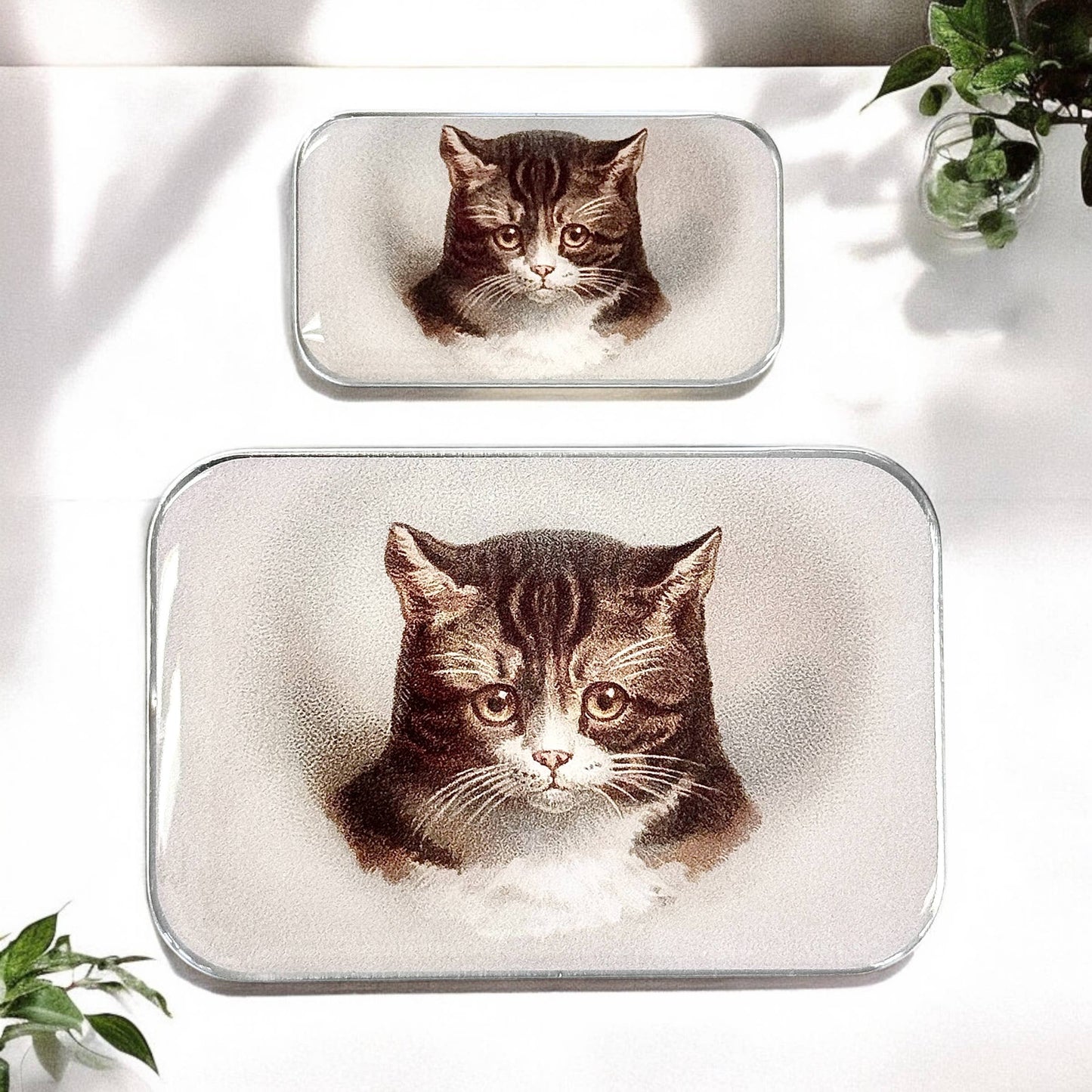 CAT NOTIONS TIN