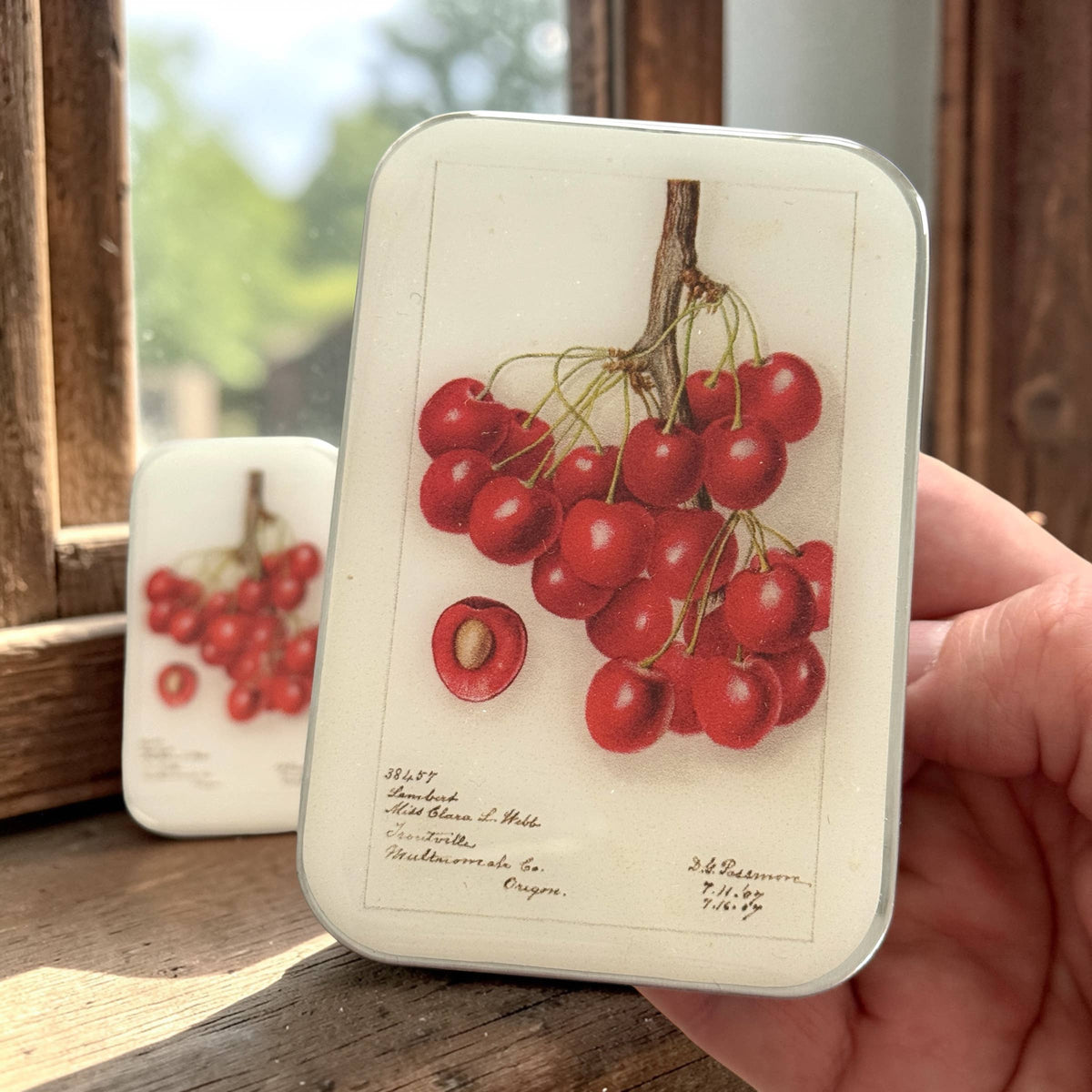 BOTANICAL CHERRY NOTIONS TIN