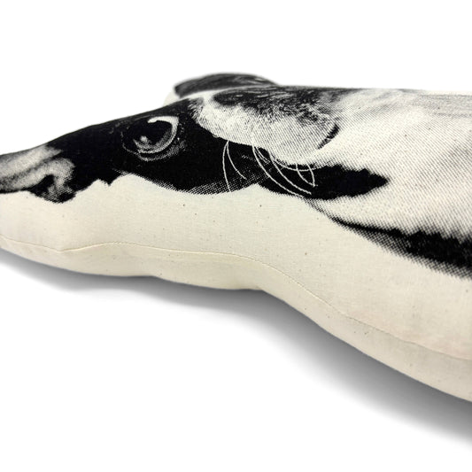 BOSTON TERRIER PILLOW