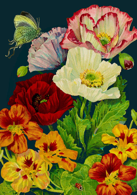 LARGE GREETING CARD - MIDNIGHT POPPIES