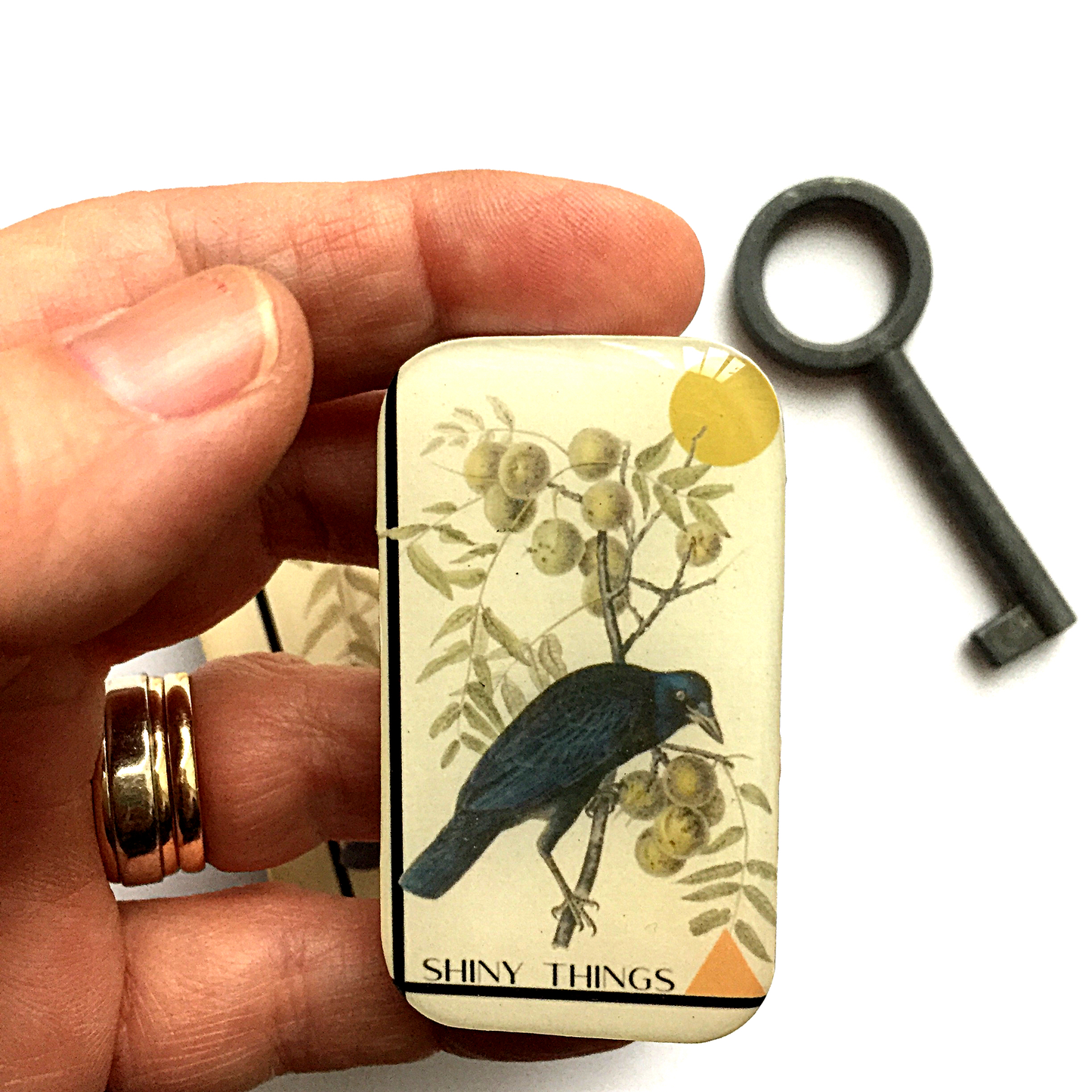 CROW SHINY THINGS TIN - LARGE