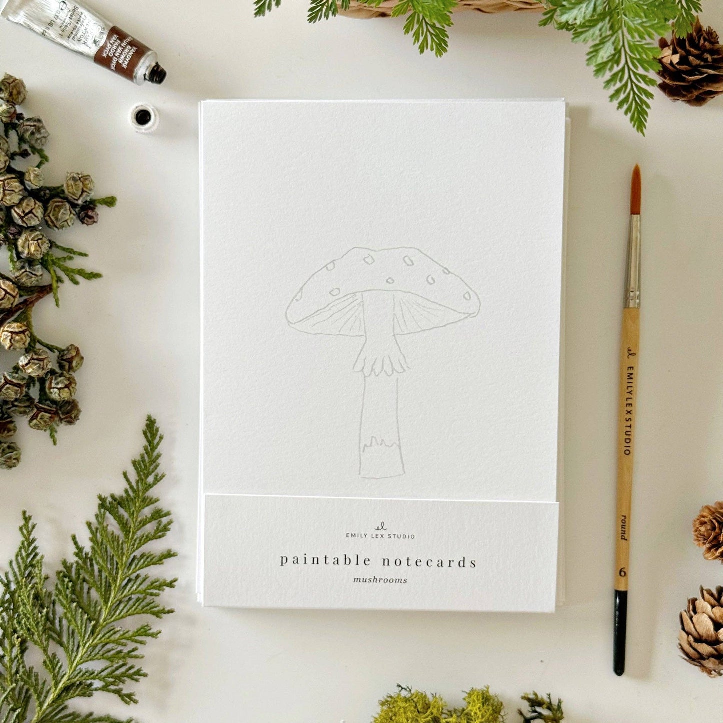 MUSHROOMS PAINTABLE CARDS