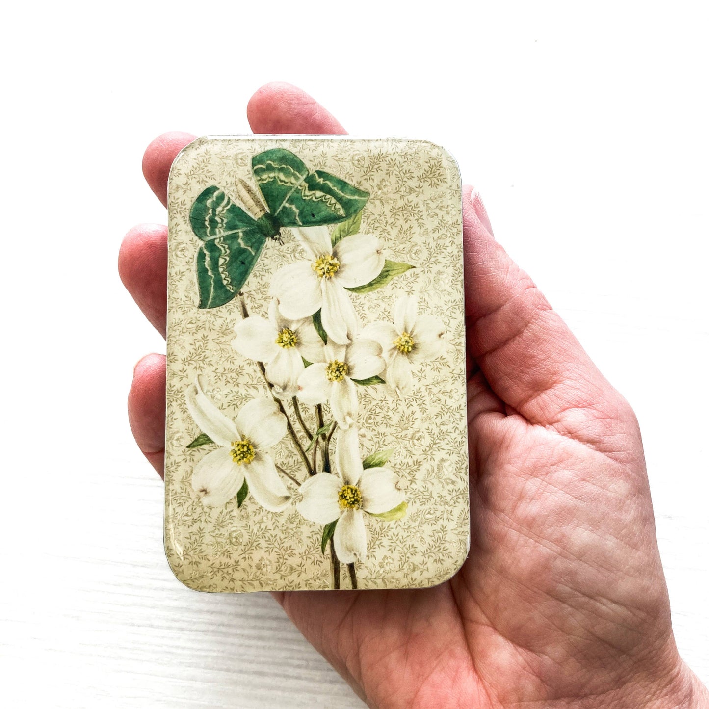 GREEN MOTH & DOGWOOD NOTIONS TIN - LARGE