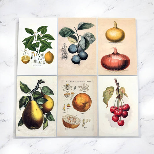 BOTANICAL RECIPE CARDS - SET 12 WITH BANANA BREAD RECIPE CARD