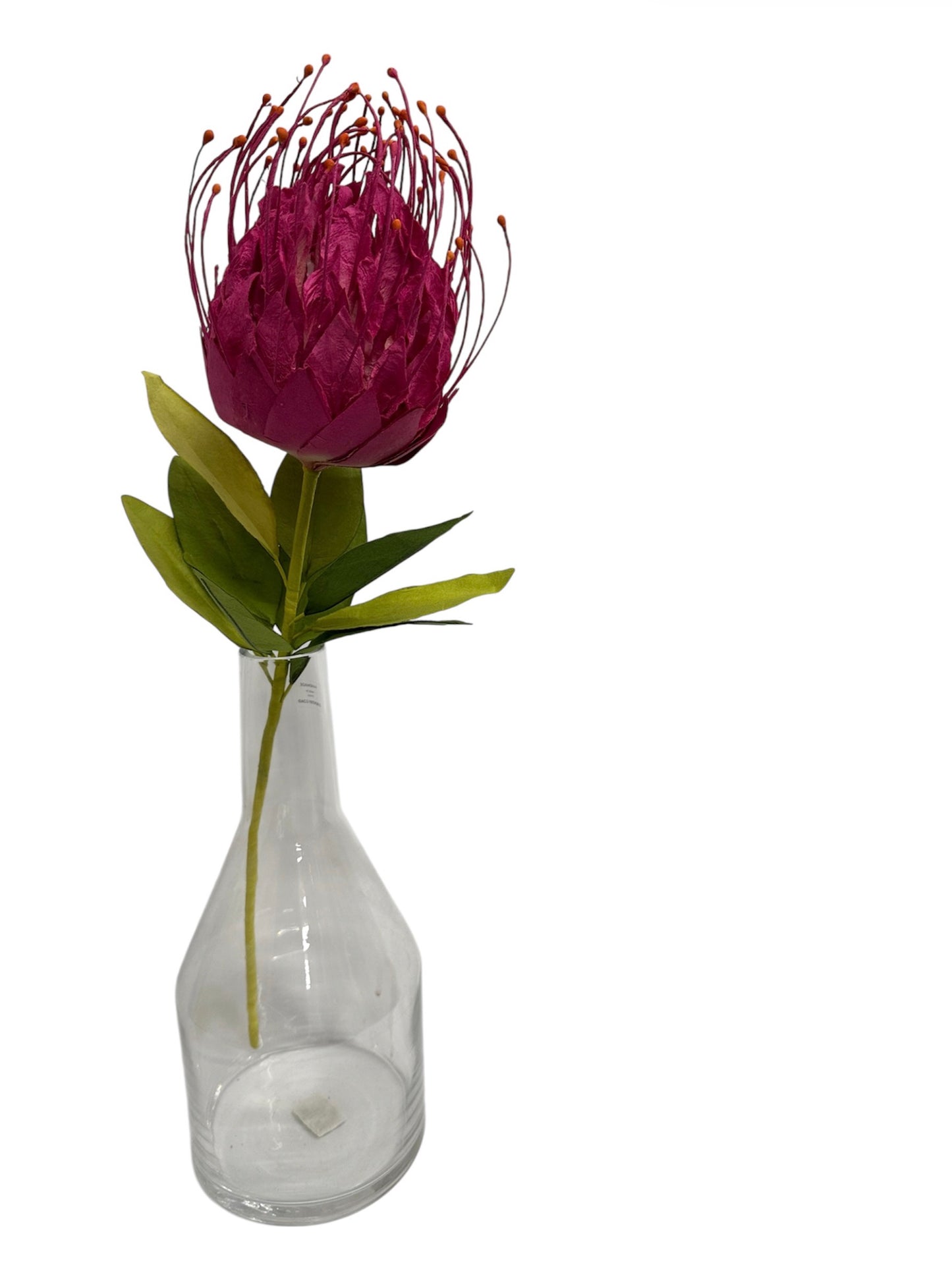 PAPER FLOWER SHOP - NATIVE PROTEA LEUCOSPERMUMS