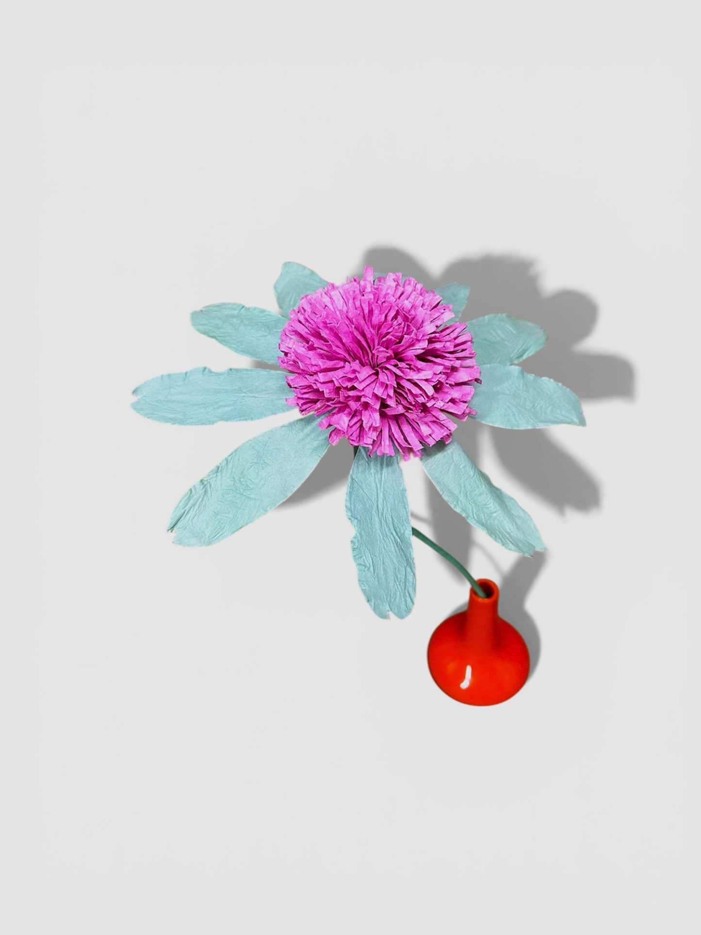 PAPER FLOWER - ECHINACEA