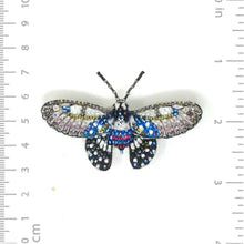 Load image into Gallery viewer, BROOCH - BORNEO BIRDWING BUTTERFLY