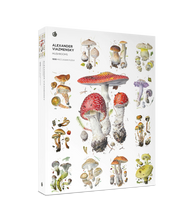 Load image into Gallery viewer, 1000 PIECE JIGSAW PUZZLE - MUSHROOMS