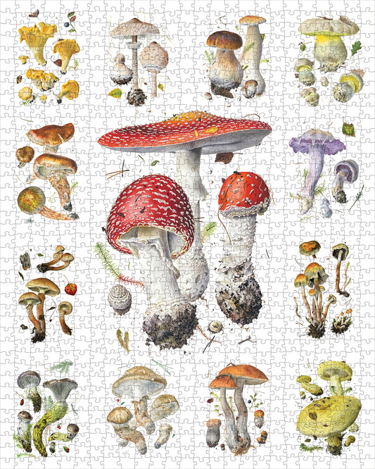 1000 PIECE JIGSAW PUZZLE - MUSHROOMS