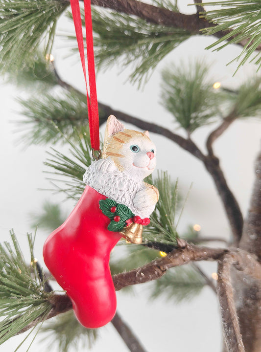 CAT IN STOCKING