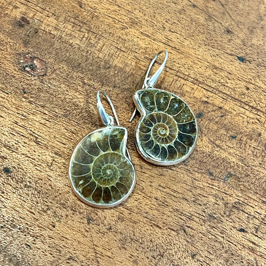 AMMONITE & SILVER EARRINGS