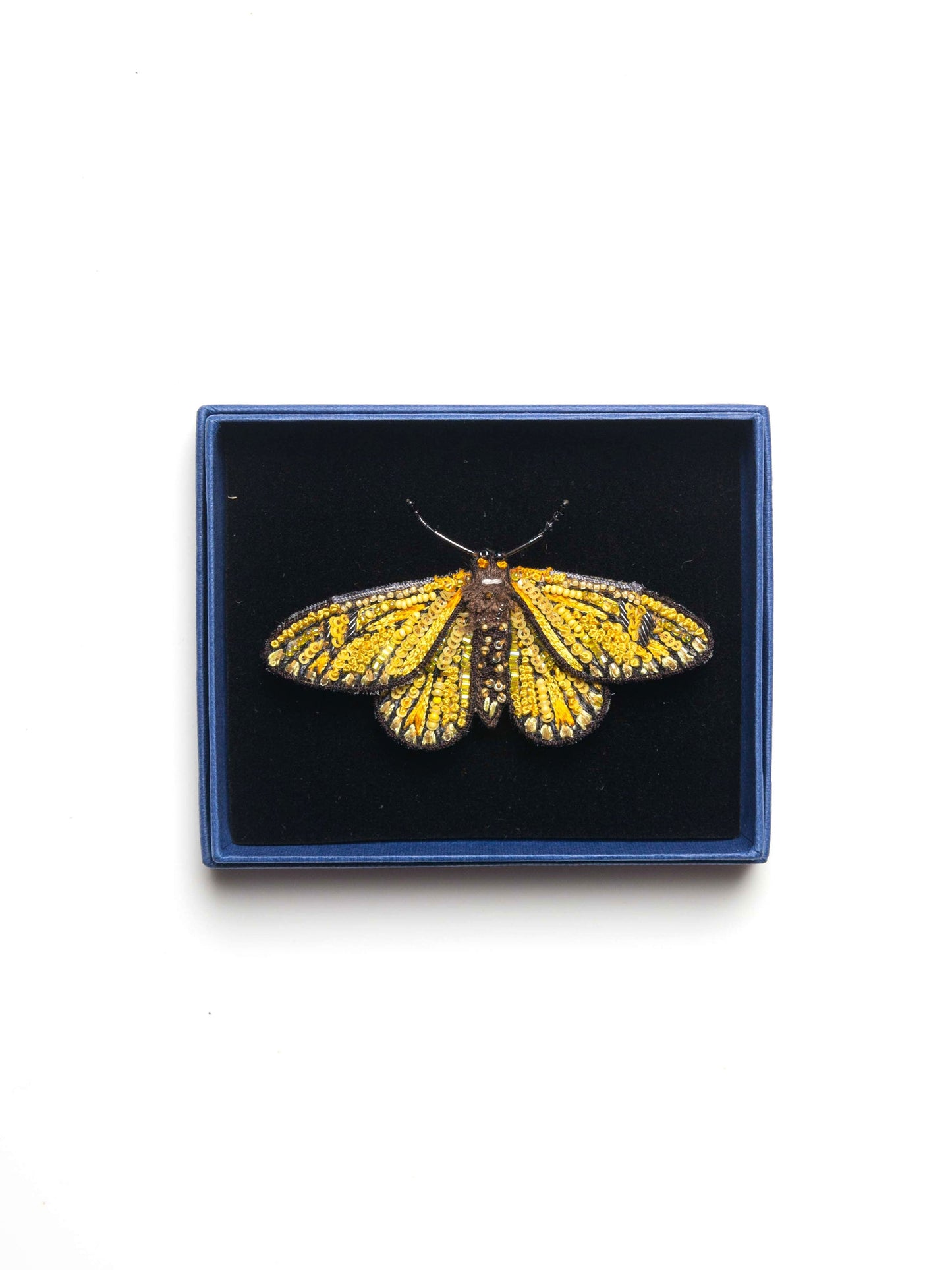 BROOCH - YELLOW COSTER BUTTERFLY