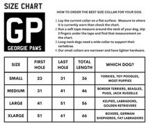 Load image into Gallery viewer, WINDSOR COLLAR - FLAG