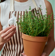 Load image into Gallery viewer, SNAIL HANGER