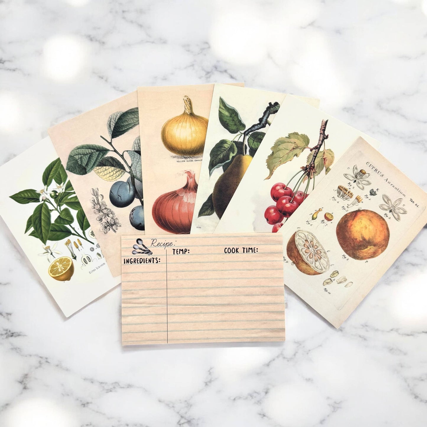 BOTANICAL RECIPE CARDS - SET 12 WITH BANANA BREAD RECIPE CARD