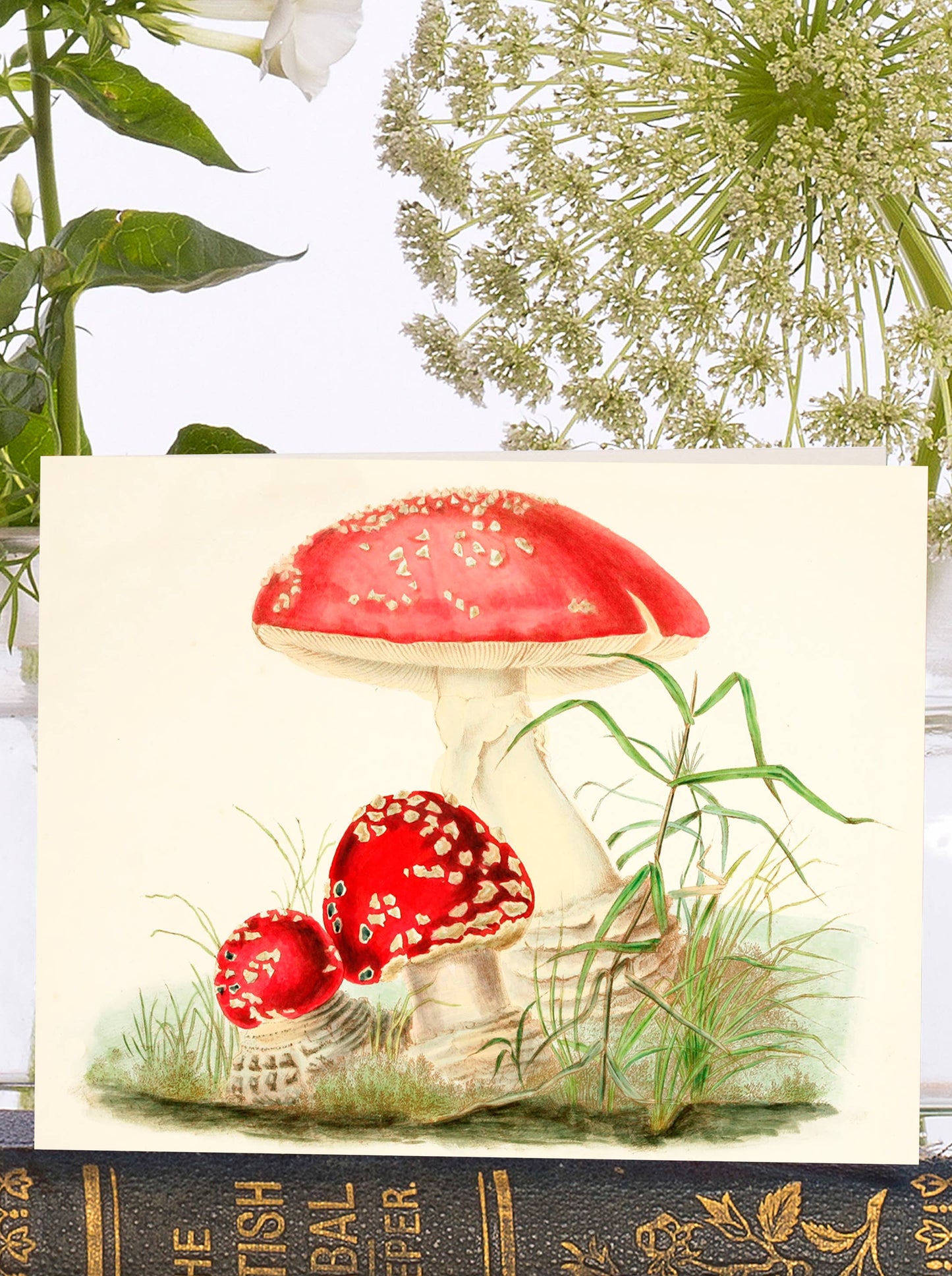 LITTLE VINTAGE GREETING CARD - WOODLAND MUSHROOMS