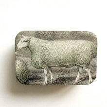 Load image into Gallery viewer, SHEEP KNITTING KIT TIN