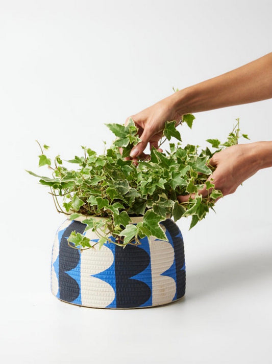 HIBO PLANTER - BLACK BLUE & WHITE
