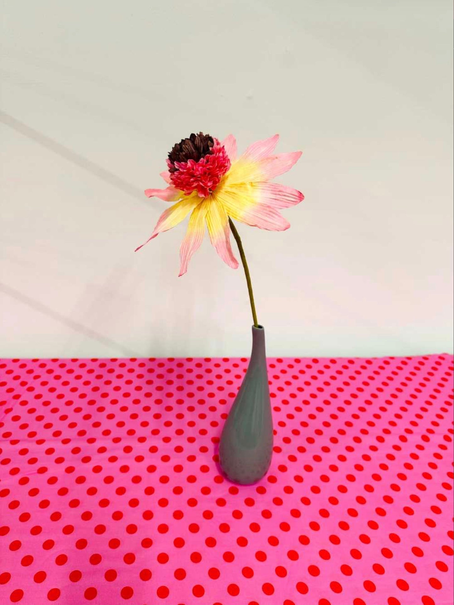 PAPER FLOWER - GARDEN ECHINACEA