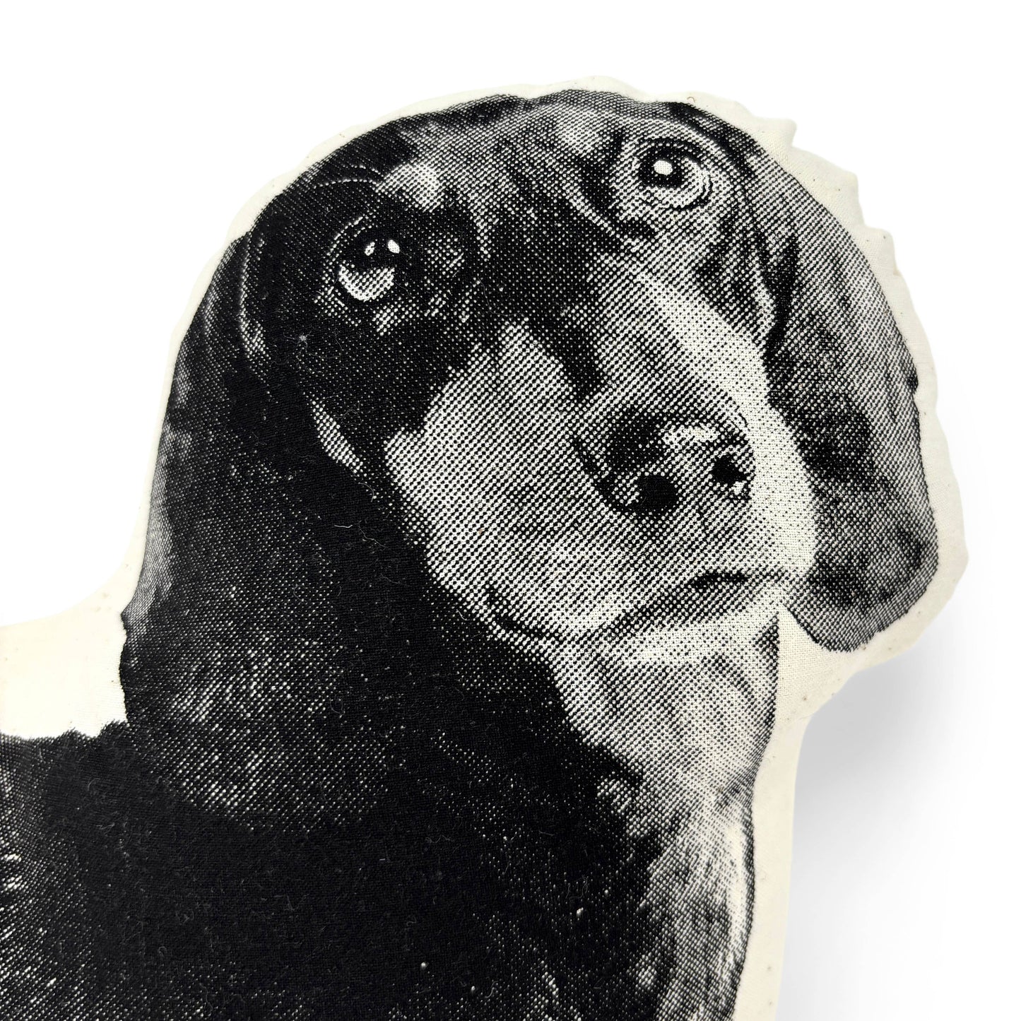 DACHSHUND PILLOW