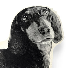 Load image into Gallery viewer, DACHSHUND PILLOW