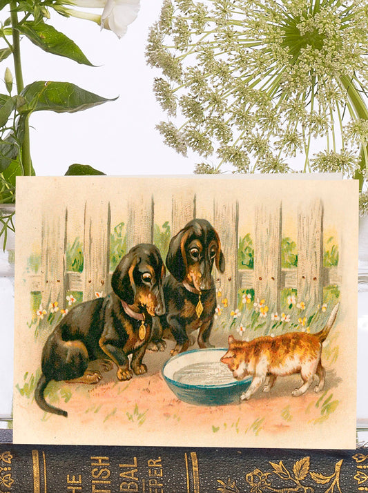 LITTLE VINTAGE GREETING CARD - THE BOWL OF MILK
