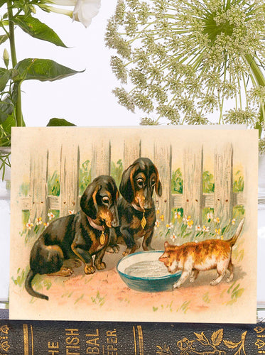 THE BOWL OF MILK LITTLE VINTAGE GREETING CARD