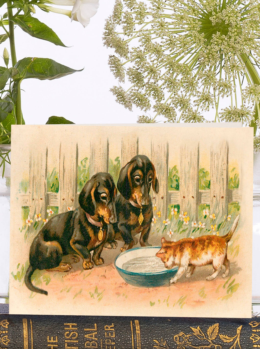 THE BOWL OF MILK LITTLE VINTAGE GREETING CARD