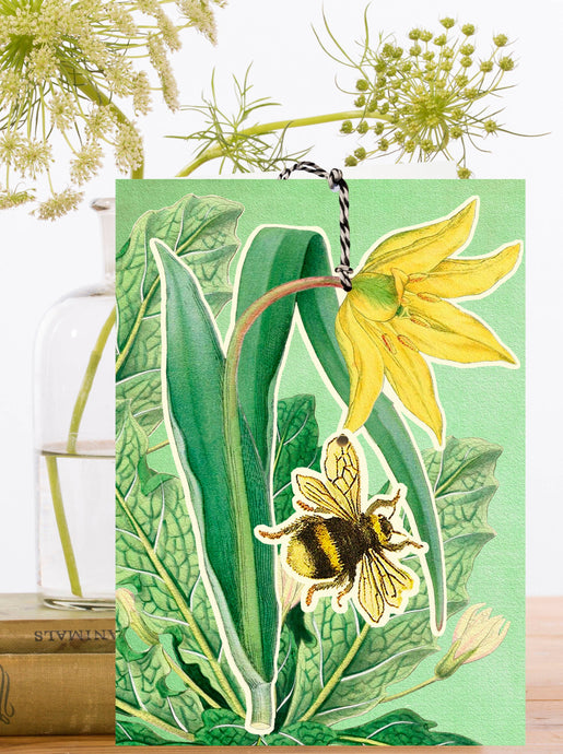 LARGE FANDANGLE GREETING CARD - BEE