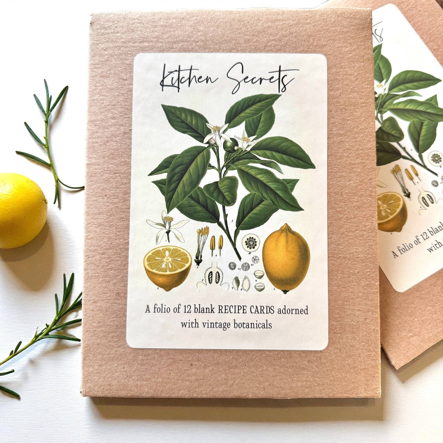 BOTANICAL RECIPE CARDS - SET 12 WITH BANANA BREAD RECIPE CARD