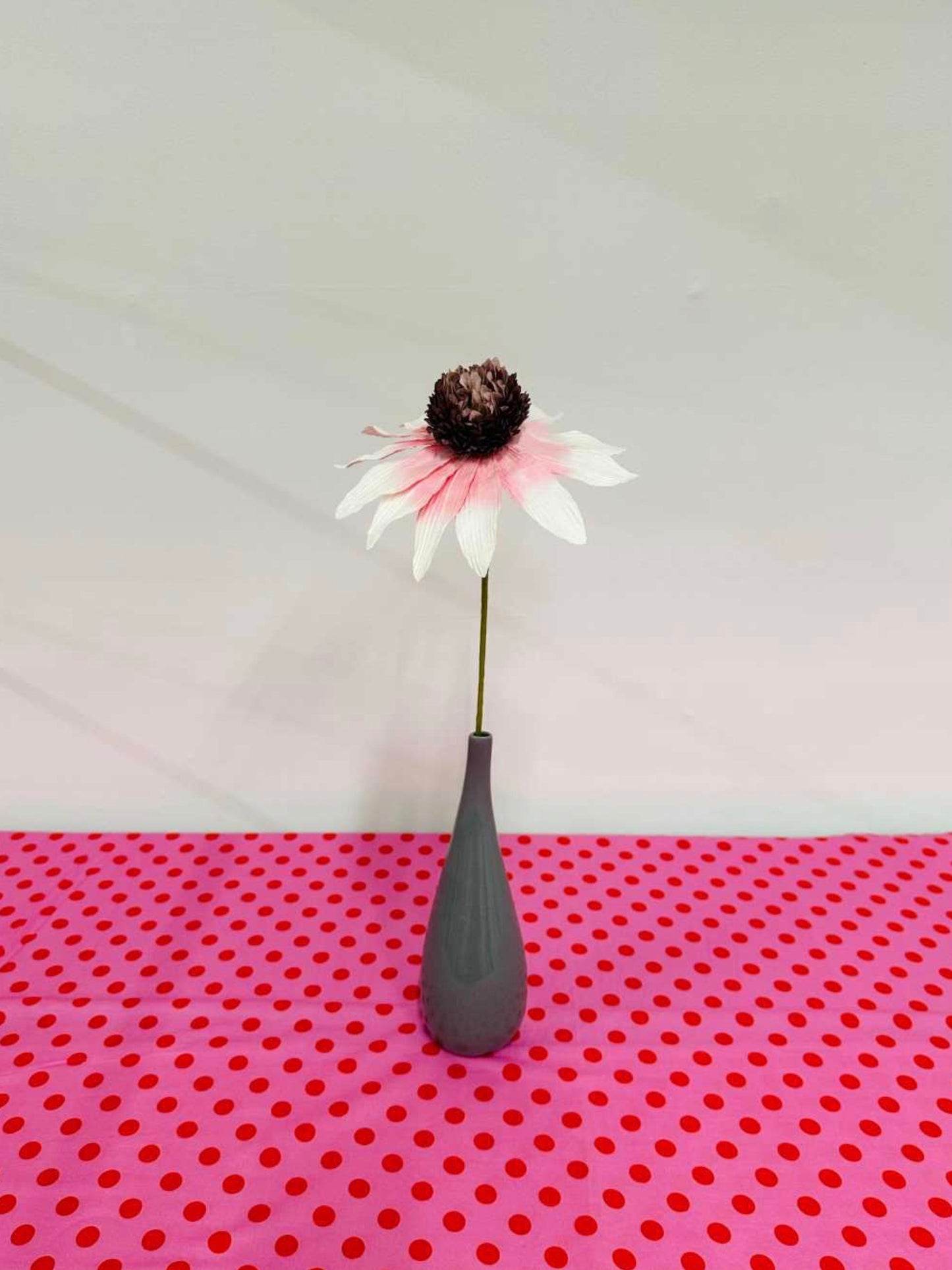 PAPER FLOWER - GARDEN ECHINACEA