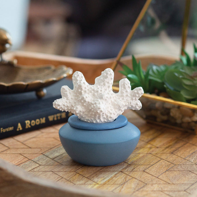 CORAL PORCELAIN DIFFUSER