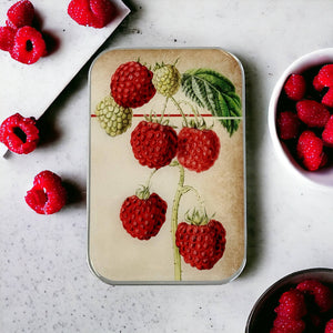 RASPBERRY NOTIONS TIN - LARGE
