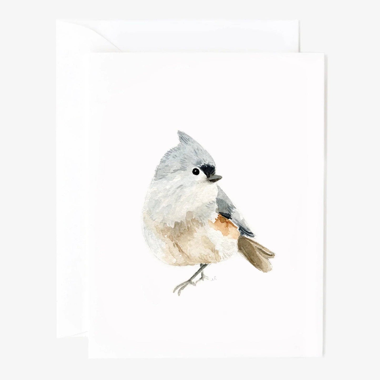 BIRDS NOTECARD - SET 8 ASSORTED
