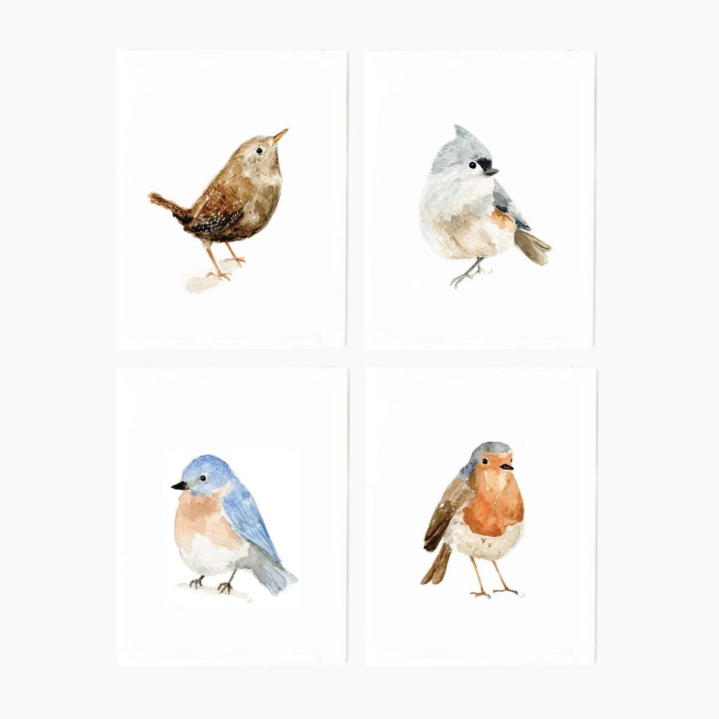 BIRDS NOTECARD - SET 8 ASSORTED