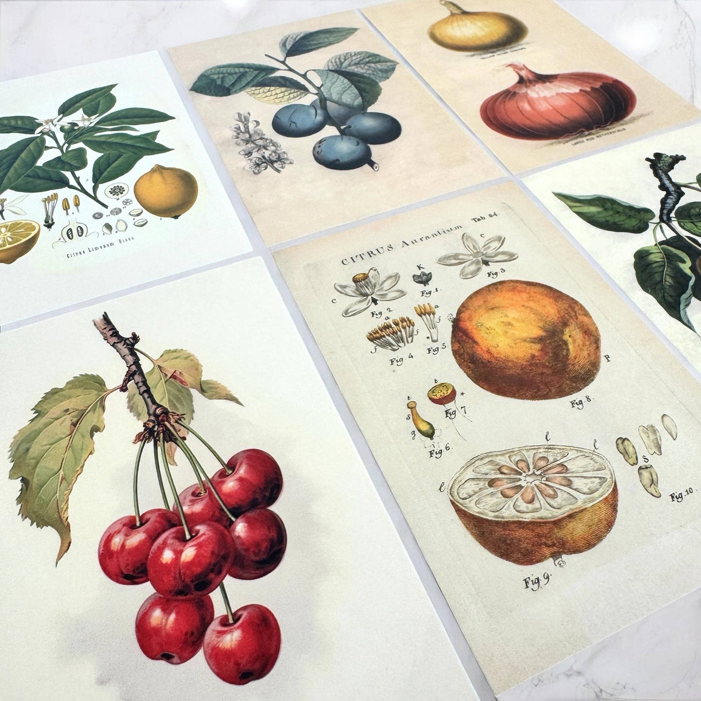 BOTANICAL RECIPE CARDS - SET 12 WITH BANANA BREAD RECIPE CARD