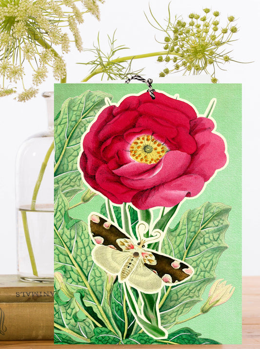 LARGE FANDANGLE GREETING CARD - PEONY