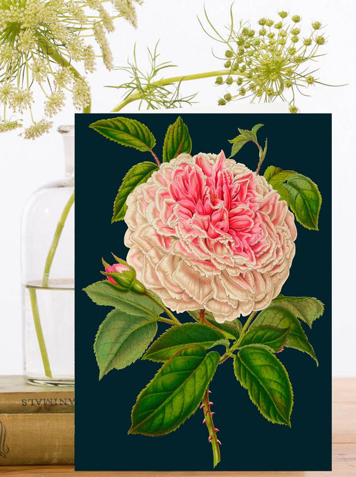 LARGE GREETING CARD - ROSE