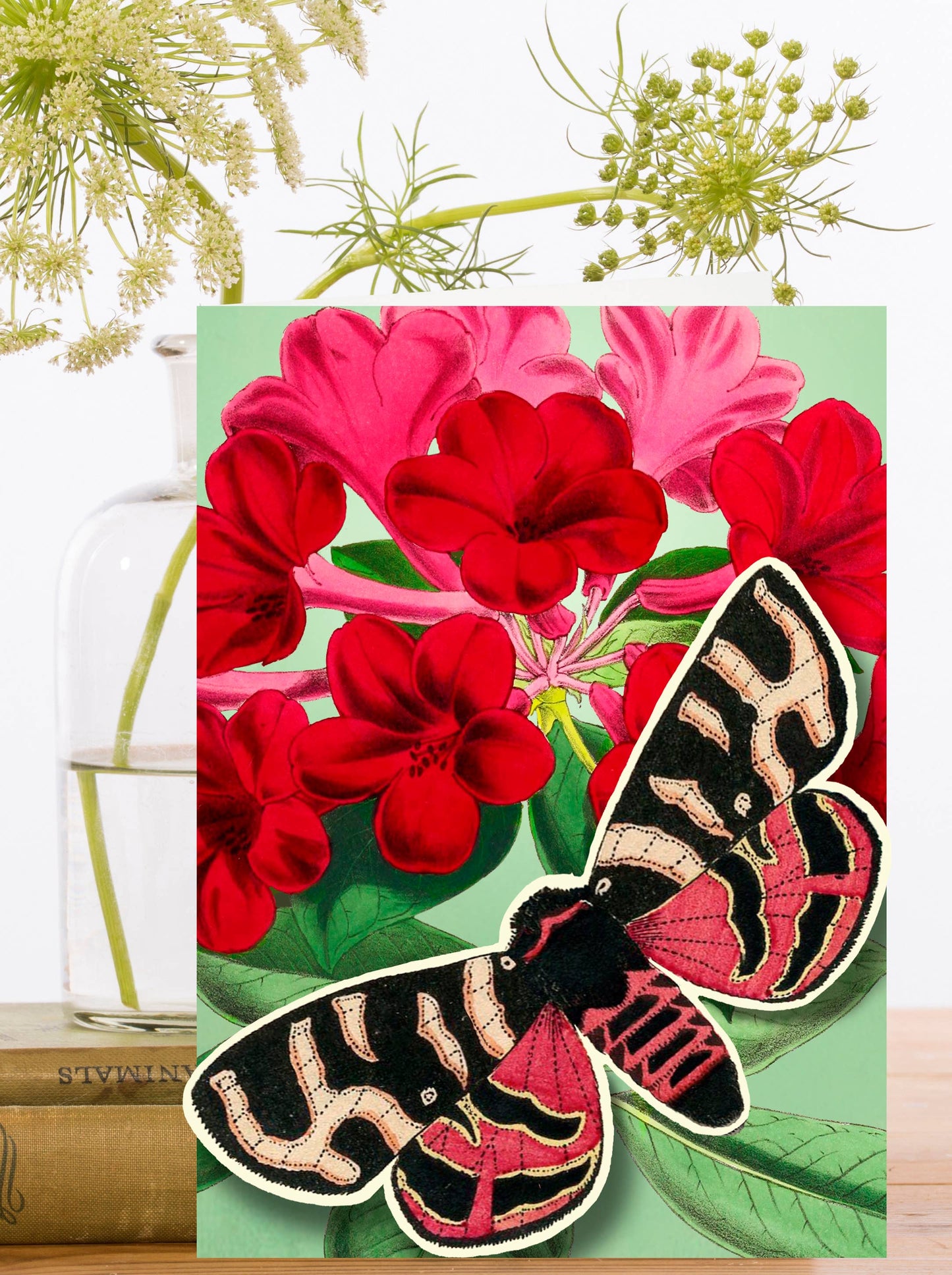 LARGE FANDANGLE GREETING CARD - RED BUTTERFLY