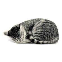Load image into Gallery viewer, SLEEPING CAT PILLOW