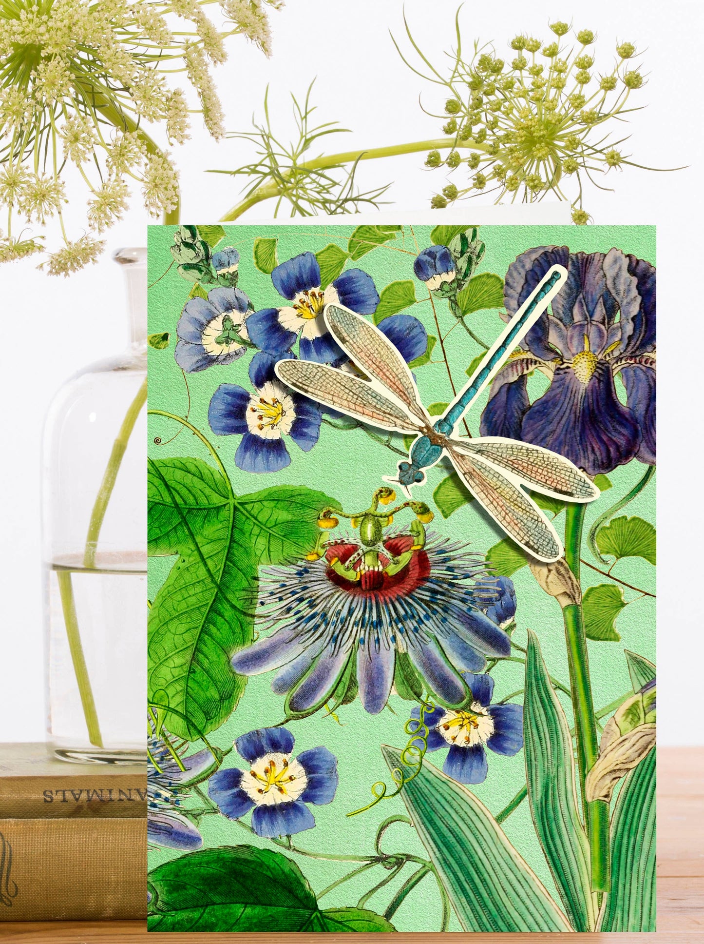 POP UP GREETING CARD DRAGONFLY GARDEN
