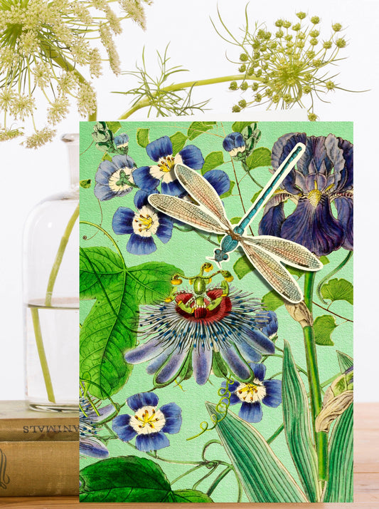 POP UP GREETING CARD DRAGONFLY GARDEN