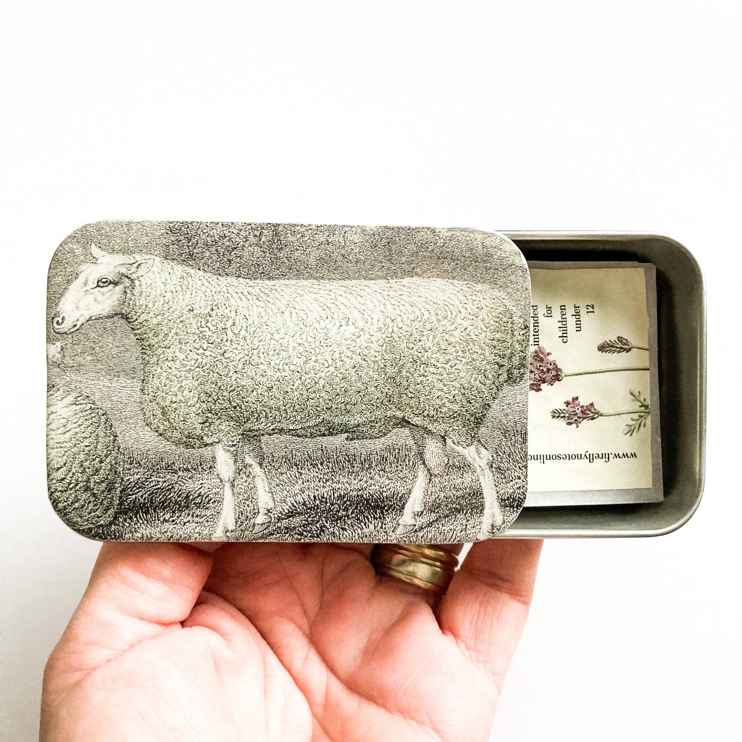 SHEEP KNITTING KIT TIN