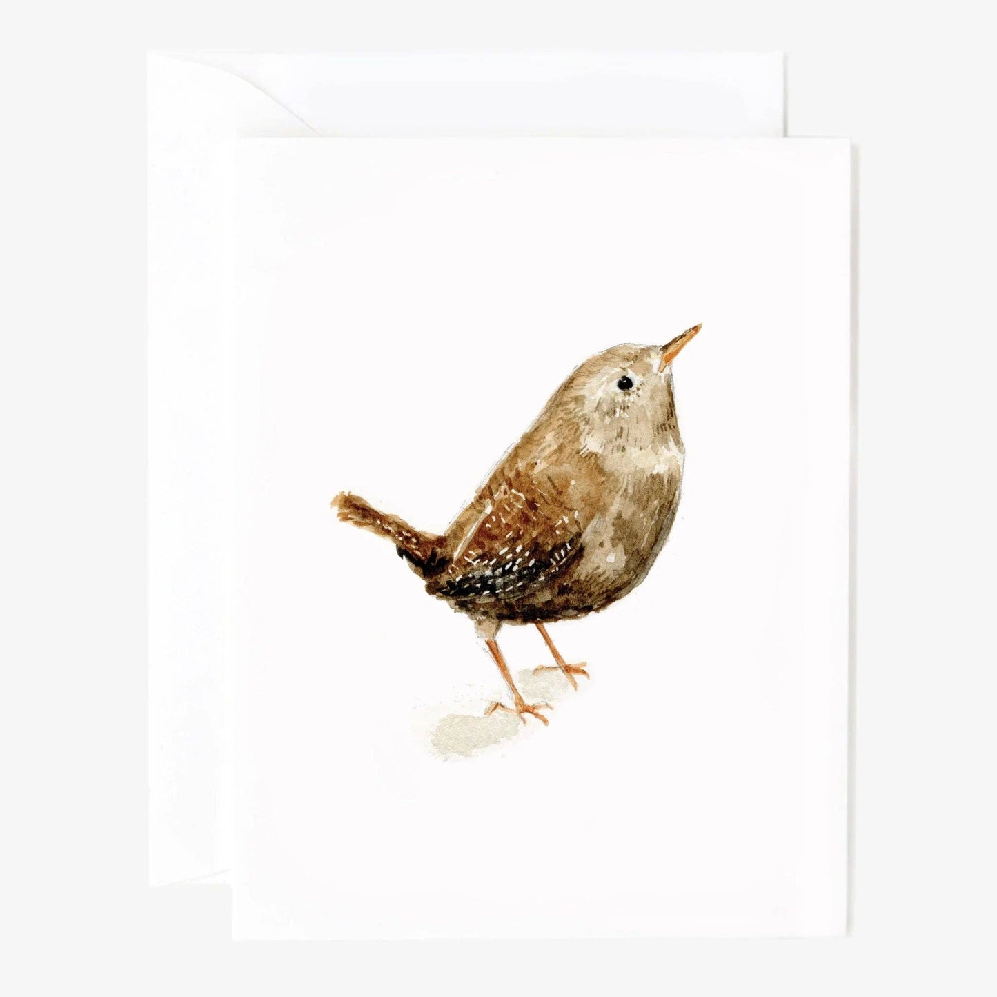 BIRDS NOTECARD - SET 8 ASSORTED